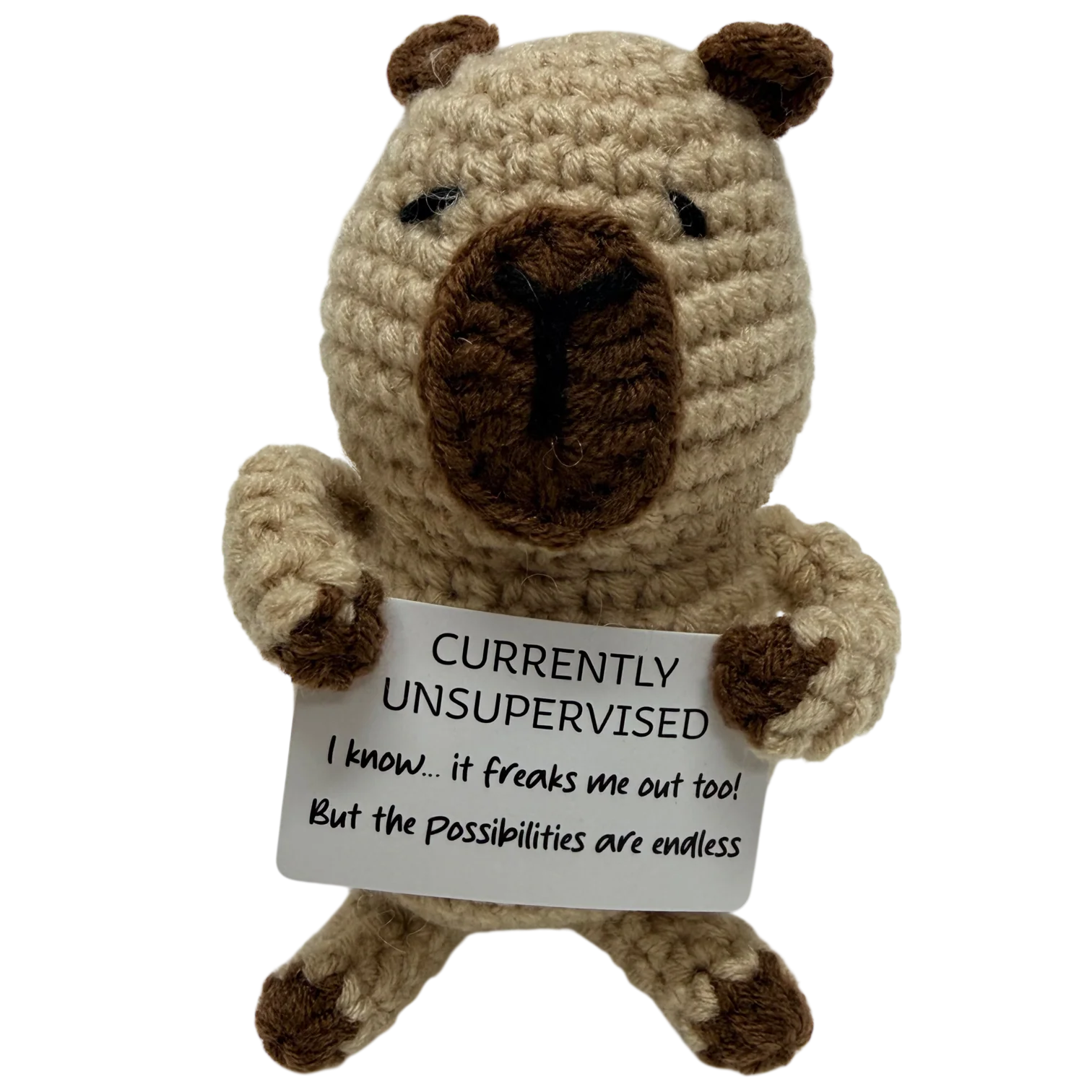 Currently Unsupervised! Capybara - Image 5