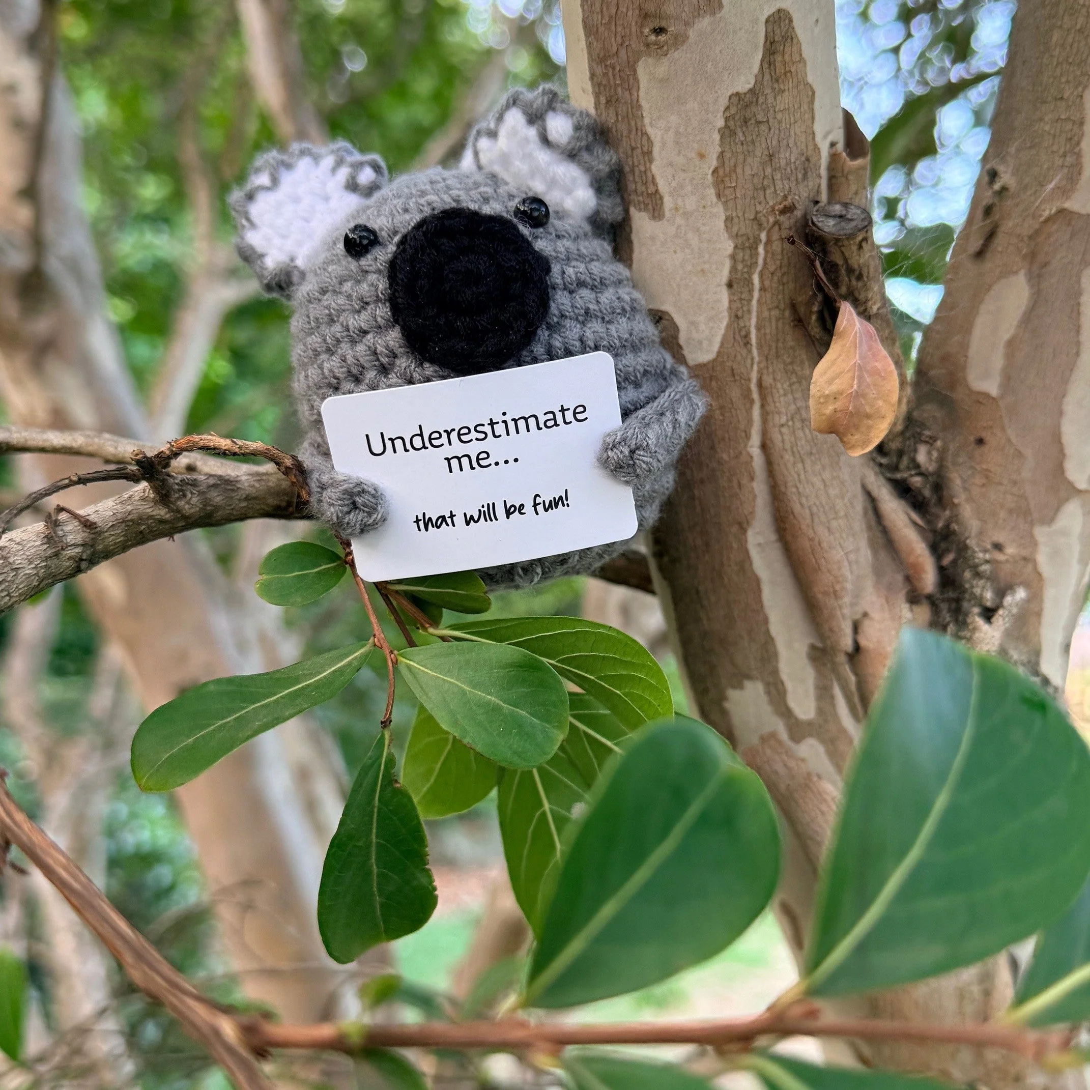 Underestimate me... that will be fun! Koala - Image 7